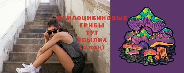 соль ск Белоозёрский
