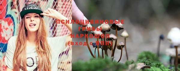 спайс Белокуриха