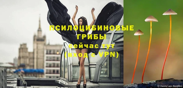 спайс Белокуриха