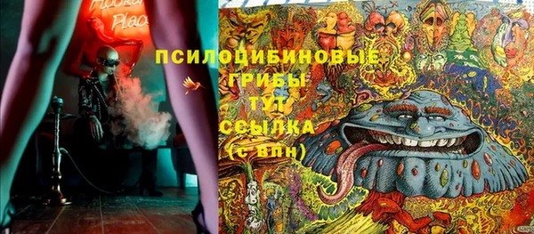 спайс Белокуриха
