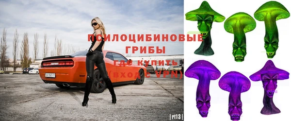 спайс Белокуриха