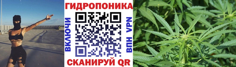Бошки Шишки марихуана  мега ссылки  Бородино 